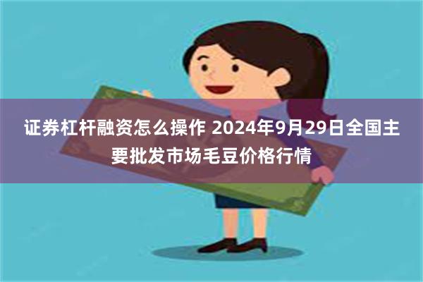 证券杠杆融资怎么操作 2024年9月29日全国主要批发市场毛豆价格行情