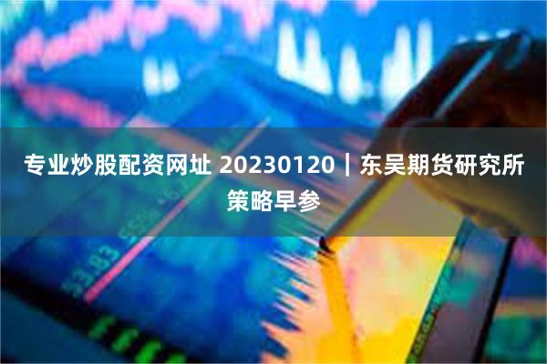 专业炒股配资网址 20230120｜东吴期货研究所策略早参