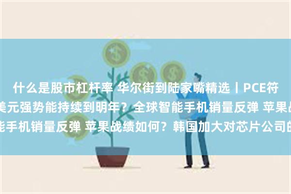 什么是股市杠杆率 华尔街到陆家嘴精选丨PCE符合预期 降息步伐继续？美元强势能持续到明年？全球智能手机销量反弹 苹果战绩如何？韩国加大对芯片公司的支持