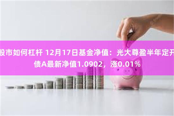 股市如何杠杆 12月17日基金净值：光大尊盈半年定开债A最新净值1.0902，涨0.01%